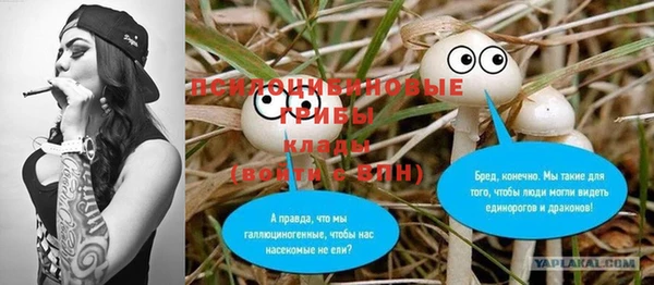дурь Арсеньев