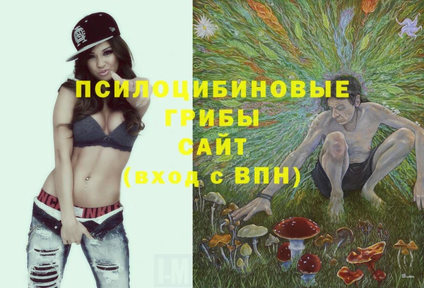 скорость Алексеевка