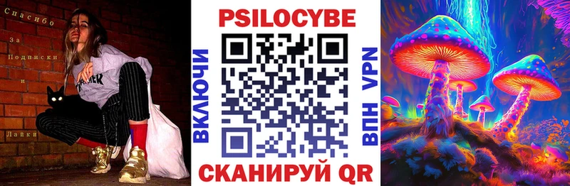 Псилоцибиновые грибы Psilocybe Курган